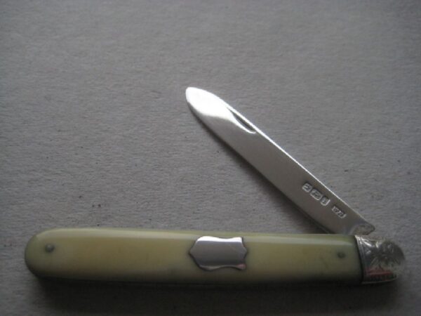 Rare Yellow Hafted Victorian Silver Bladed Folding Fruit Knife SK493