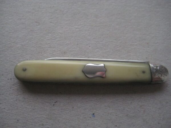 Rare Yellow Hafted Victorian Silver Bladed Folding Fruit Knife SK493 - Image 7