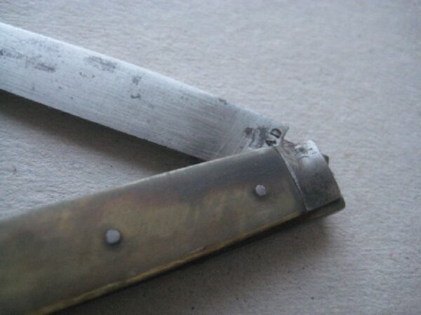 Rare George III Bone Hafted Scimitar Steel Bladed Folding Fruit Knife SK110 - Image 4