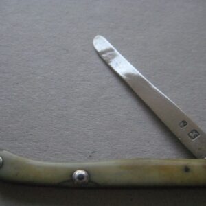 Rare George III Bone Hafted Scimitar Silver Bladed Folding Fruit Knife SK112