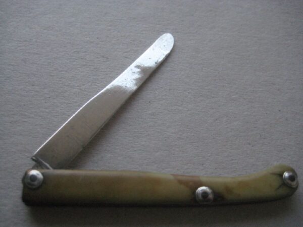 Rare George III Bone Hafted Scimitar Silver Bladed Folding Fruit Knife SK112 - Image 2