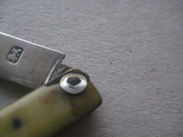 Rare George III Bone Hafted Scimitar Silver Bladed Folding Fruit Knife SK112 - Image 4