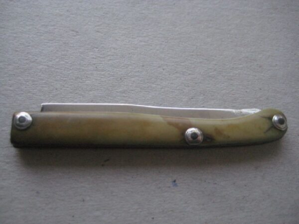 Rare George III Bone Hafted Scimitar Silver Bladed Folding Fruit Knife SK112 - Image 8