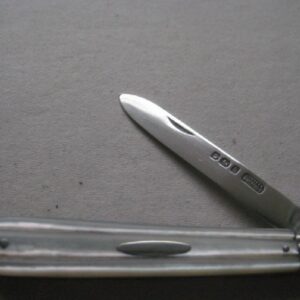 Rare Sheffield Hallmarked Silver Bladed Folding Fruit Knife SK551