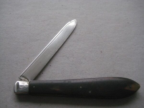 Rare Victorian Tortoiseshell Hafted Silver Bladed Folding Fruit Knife SK382 - Image 2