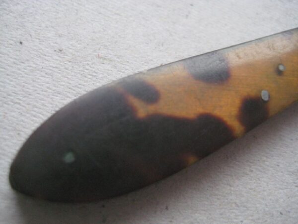 Rare Victorian Tortoiseshell Hafted Silver Bladed Folding Fruit Knife SK382 - Image 3