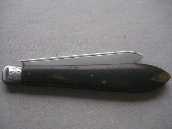 Rare Victorian Tortoiseshell Hafted Silver Bladed Folding Fruit Knife SK382 - Image 8