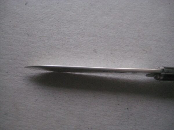 Rare French Tortoiseshell Hafted  Victorian Silver Bladed Folding Fruit Knife SK211 - Image 10