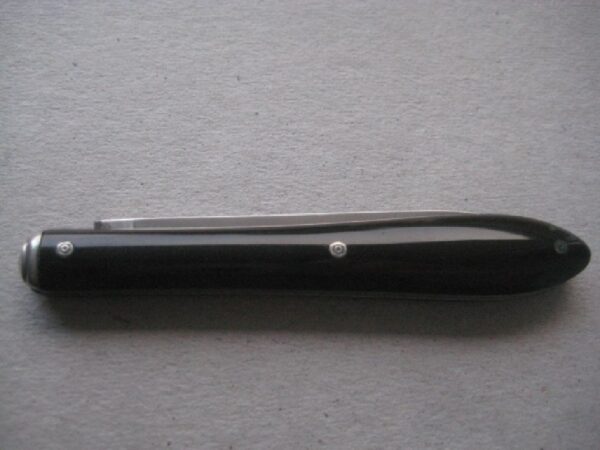 Rare French Tortoiseshell Hafted  Victorian Silver Bladed Folding Fruit Knife SK211 - Image 12