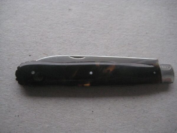 Rare George IV Tortoiseshell Hafted Scimitar Silver Bladed Folding Fruit Knife SK52 - Image 6