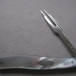 Rare George IV Mother of Pearl Hafted Silver Bladed Folding Fruit Fork SK31