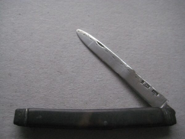 Rare George III Tortoiseshell Hafted Duty Marked Silver Bladed Folding Fruit Knife SK4