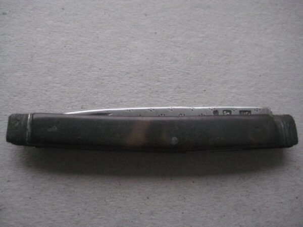 Rare George III Tortoiseshell Hafted Duty Marked Silver Bladed Folding Fruit Knife SK4 - Image 8