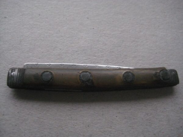 Rare George III Tortoiseshell Hafted Duty Marked Silver Bladed Folding Fruit Knife SK4 - Image 9