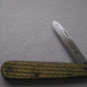 Rare George V Gold Bakerlite Plastic Hafted Silver Bladed Folding Fruit Knife SK118