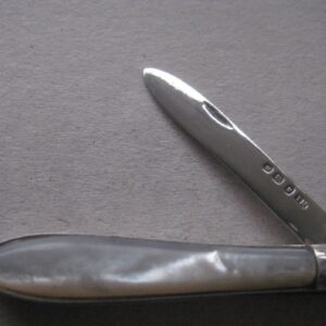 Rare George V Mother of Pearl Hafted Silver Bladed Folding Fruit Knife SK155