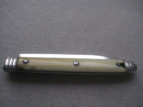 Rare George III Yellow Hafted Silver Bladed Folding Fruit Knife SK9 - Image 9
