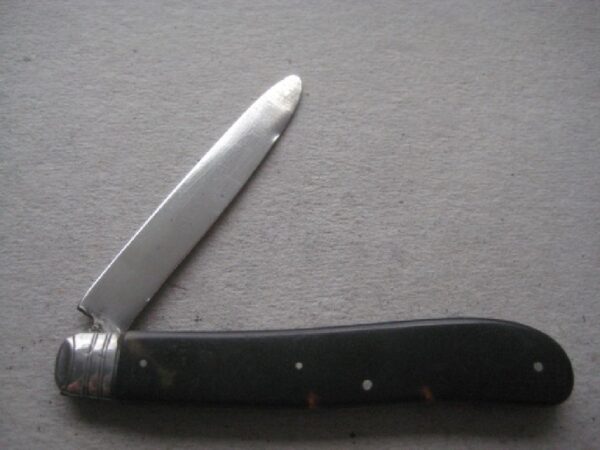 Rare Victorian Tortoiseshell Abalone Inlaid Hafted Silver Bladed Folding Fruit Knife SK421 - Image 2