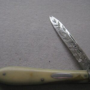 Rare Victorian Bone Hafted Silver Bladed Folding Fruit Knife SK352