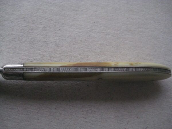 Rare Victorian Bone Hafted Silver Bladed Folding Fruit Knife SK352 - Image 6