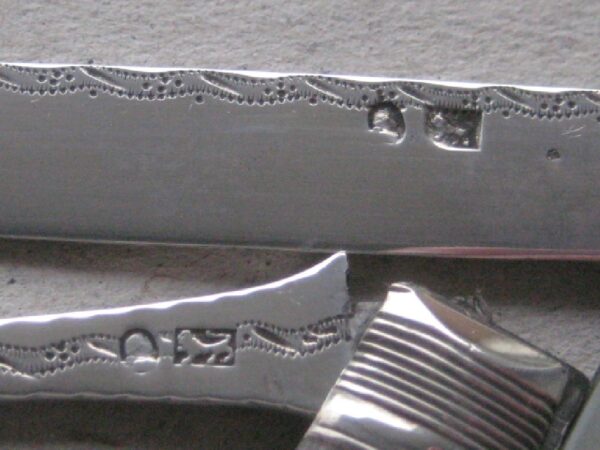 Rare Cased George III Matching Mother of Pearl Hafted Silver Bladed Folding Fruit Knife & Fork SK145 - Image 6
