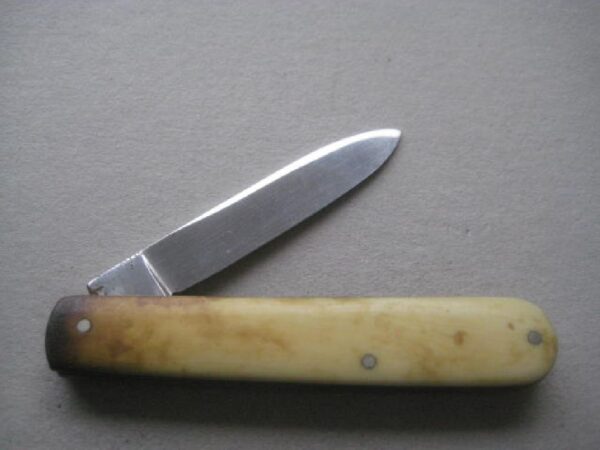 Vintage Bone Hafted Stainless Fruit Knife Steel Bladed Penknife SK112 BLETCH - Image 2