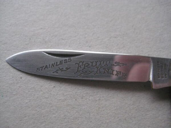 Vintage Bone Hafted Stainless Fruit Knife Steel Bladed Penknife SK112 BLETCH - Image 4