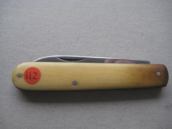 Vintage Bone Hafted Stainless Fruit Knife Steel Bladed Penknife SK112 BLETCH - Image 8