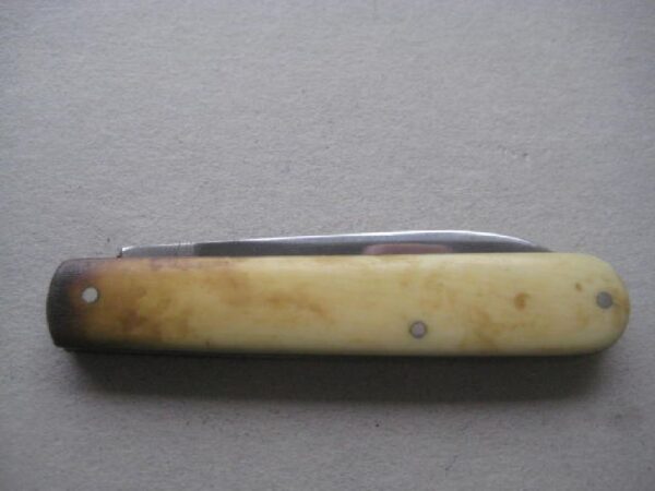 Vintage Bone Hafted Stainless Fruit Knife Steel Bladed Penknife SK112 BLETCH - Image 9