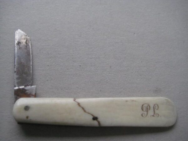 Victorian Bone Hafted Budding Penknife SK134 BLETCH - Image 4