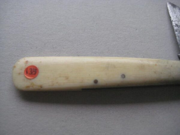 Victorian Bone Hafted Budding Penknife SK135 BLETCH