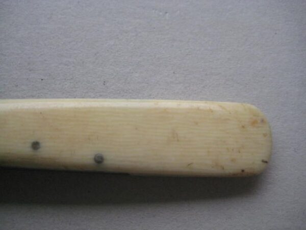 Victorian Bone Hafted Budding Penknife SK135 BLETCH - Image 3