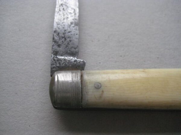 Victorian Bone Hafted Budding Penknife SK135 BLETCH - Image 4