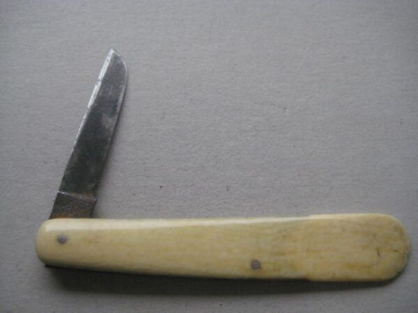 Victorian Bone Hafted Budding Penknife SK136 BLETCH - Image 2