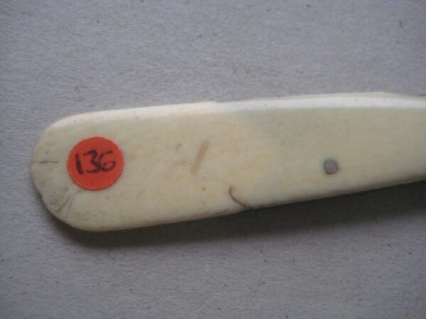 Victorian Bone Hafted Budding Penknife SK136 BLETCH - Image 3