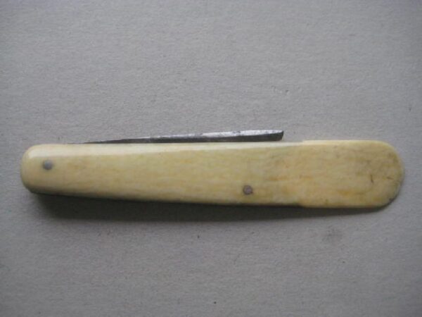 Victorian Bone Hafted Budding Penknife SK136 BLETCH - Image 8